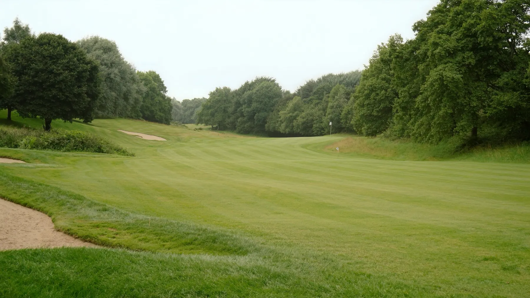 A tree-lined fairway on a parkland golf course